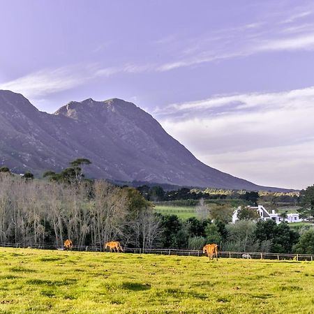 Hemel 'N Aarde Stud Ξενοδοχείο Hermanus Εξωτερικό φωτογραφία