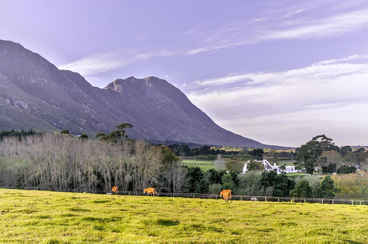 Hemel 'N Aarde Stud Ξενοδοχείο Hermanus Εξωτερικό φωτογραφία
